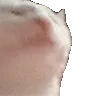 HyperVibeCat