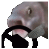 f_fish_steer Discord emoji