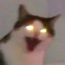 AHHHHHHHHHHH