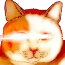 KittyWoke Discord Emoji