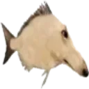 Snooper_Fish