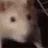 :Rat_MJ: Rat_MJ