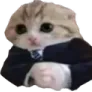 catNaByznyse