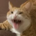 catMew Discord Emoji