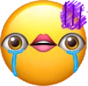 crying_wtf Discord Emoji