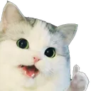 CC_cat_thumbsup Discord Emoji