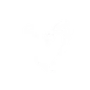 heart1