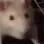 rata