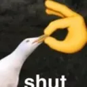 ShutIt