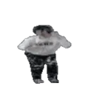 xqcdance xqcdance