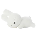 bun_sleep bun_sleep
