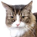 Loki Discord emoji