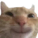 DelightedGato
