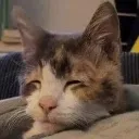 SleepyJoe