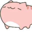 HOB_Sniffnodcat