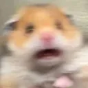 521pxScared_Hamster Discord Emoji