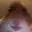 ham