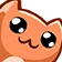 ccat_o_o