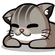 rderSleep