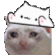 4338catbongo Discord emoji