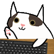 5906catkeyboardwarrior Discord emoji