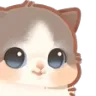 kit