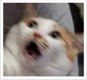 Shocked