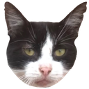 Milky Discord emoji