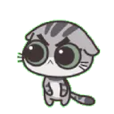 catangy catangy