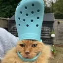 CrocToff