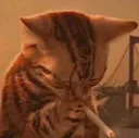 cat_ciggy