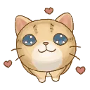 cat3
