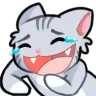 cat_wheeze