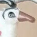 cursedshen