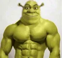 shrekisbuilt