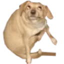 ohyou