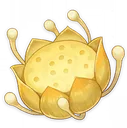 NilotpalaLotus