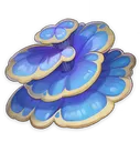 RukkhashavaMushrooms