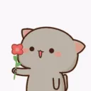 mochicat