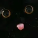 mlem