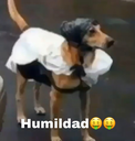 humildad Discord emoji