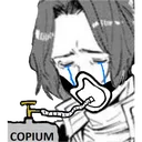 SeinCope