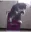 cat_jumps