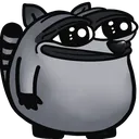 Raccoon