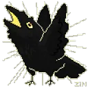 crowcraw