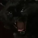 samscream samscream