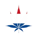 Screenshot_4removebgpreview