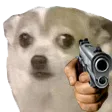 BuyStorm