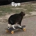 Bye