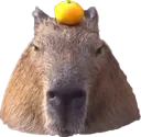 capybaraorangeremovebgpreview Discord Emoji